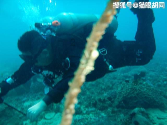 嘉日单词